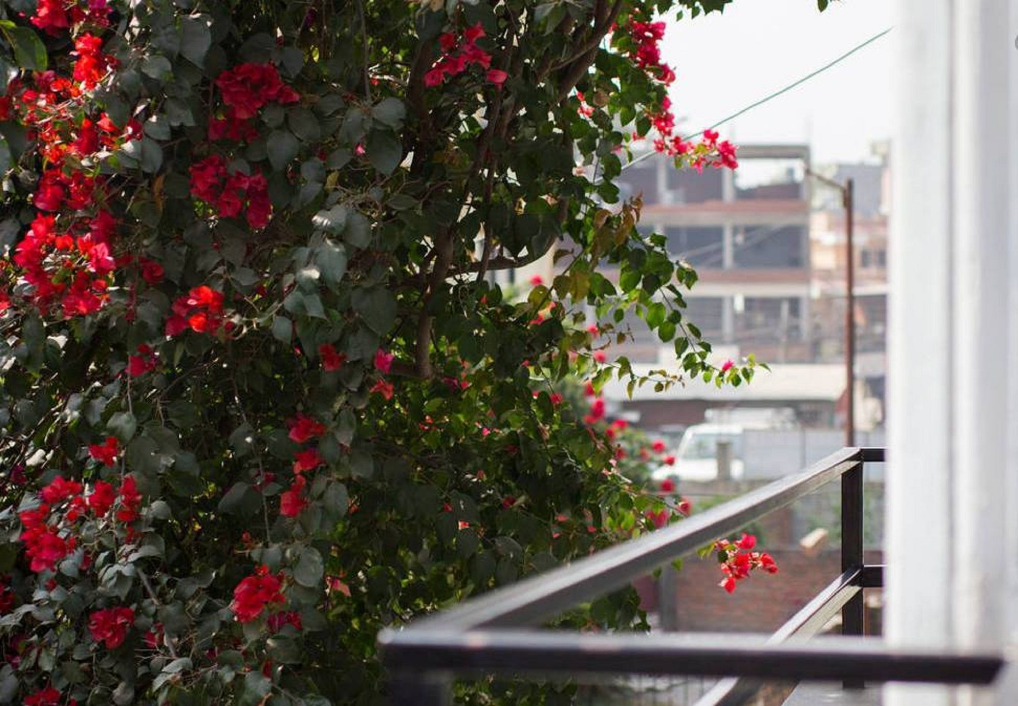 Le Rhododendron Chambres D'Hotes Kathmandu Esterno foto